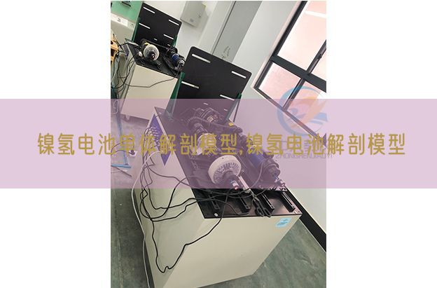镍氢电池单体剖解模子,镍氢电池剖解模子(图1)